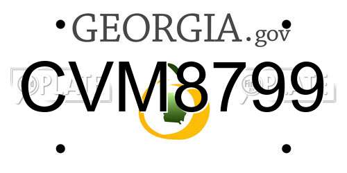 CVM8799 Georgia License Plate