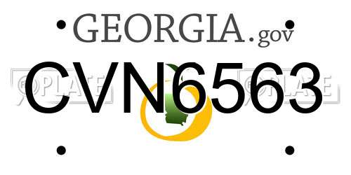 CVN6563 Georgia License Plate