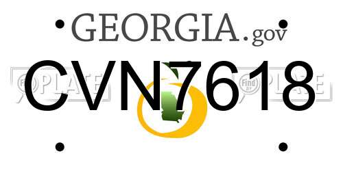 CVN7618 Georgia License Plate