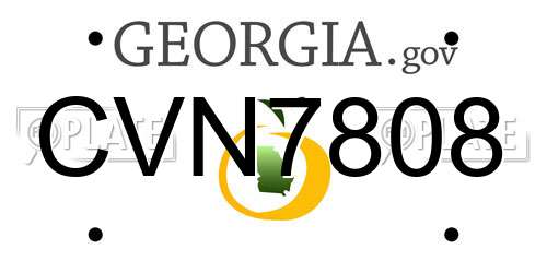 CVN7808 Georgia License Plate