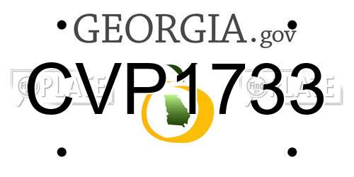 CVP1733 Georgia License Plate