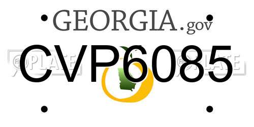 CVP6085 Georgia License Plate