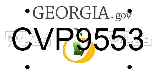CVP9553 Georgia License Plate