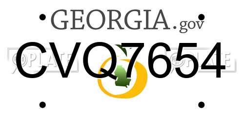 CVQ7654 Georgia License Plate