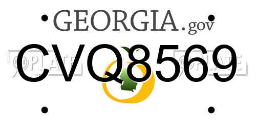 CVQ8569 Georgia License Plate
