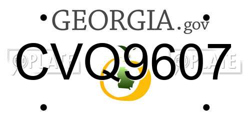 CVQ9607 Georgia License Plate