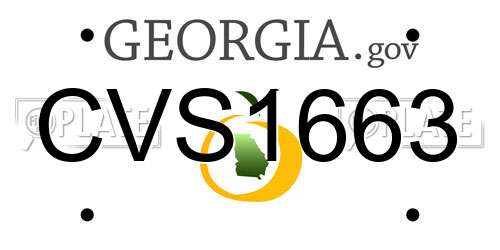 CVS1663 Georgia License Plate