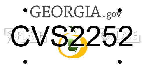 CVS2252 Georgia License Plate