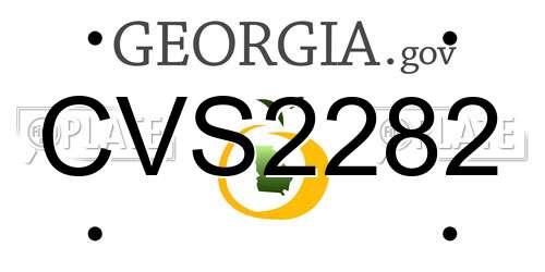 CVS2282 Georgia License Plate