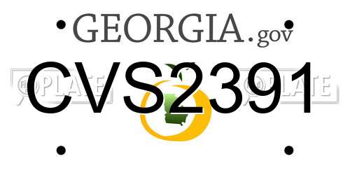 CVS2391 Georgia License Plate