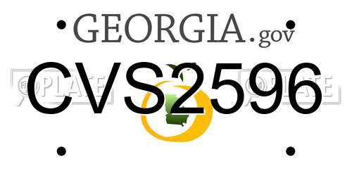CVS2596 Georgia License Plate