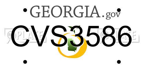 CVS3586 Georgia License Plate