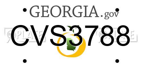 CVS3788 Georgia License Plate