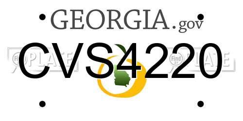 CVS4220 Georgia License Plate