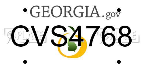 CVS4768 Georgia License Plate