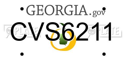 CVS6211 Georgia License Plate