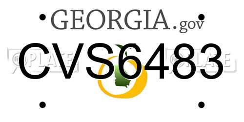 CVS6483 Georgia License Plate