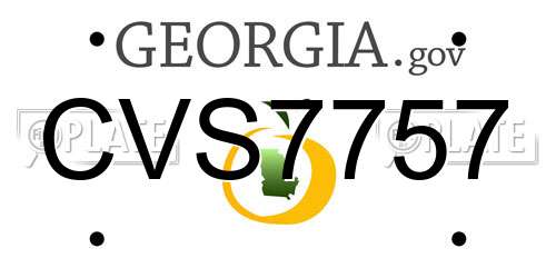 CVS7757 Georgia License Plate