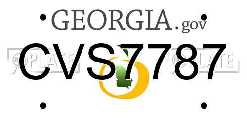 CVS7787 Georgia License Plate