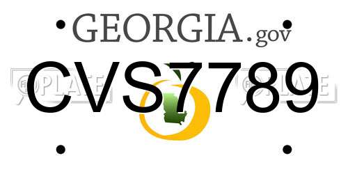 CVS7789 Georgia License Plate