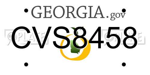 CVS8458 Georgia License Plate