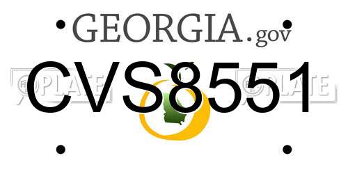 CVS8551 Georgia License Plate