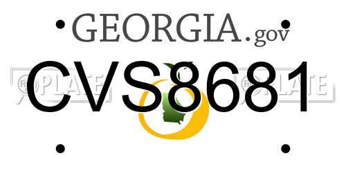 CVS8681 Georgia License Plate
