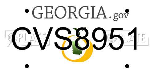 CVS8951 Georgia License Plate