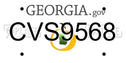 CVS9568 Georgia License Plate