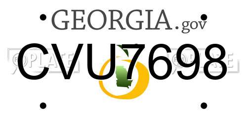 CVU7698 Georgia License Plate