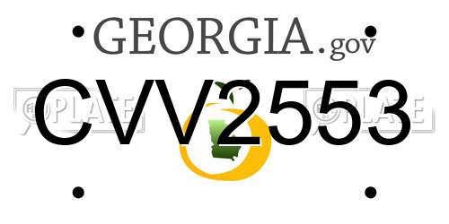 CVV2553 Georgia License Plate