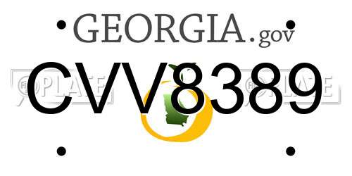 CVV8389 Georgia License Plate