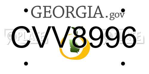 CVV8996 Georgia License Plate