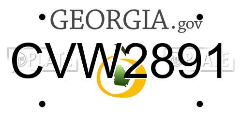 CVW2891 Georgia License Plate