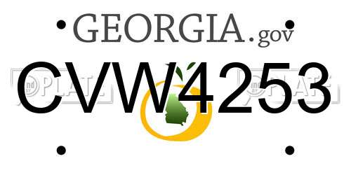 CVW4253 Georgia License Plate