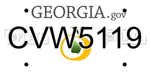 CVW5119 Georgia License Plate
