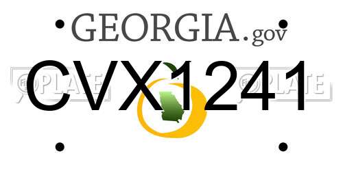 CVX1241 Georgia License Plate