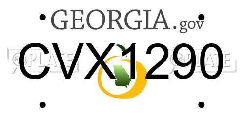 CVX1290 Georgia License Plate