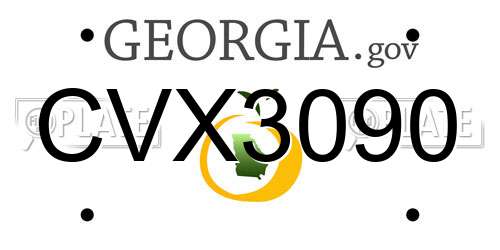 CVX3090 Georgia License Plate