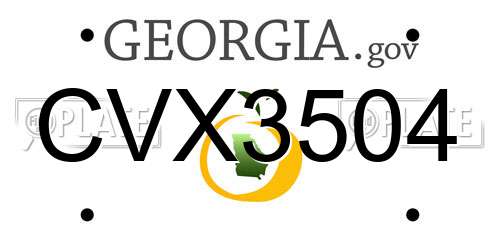 CVX3504 Georgia License Plate