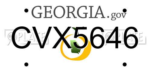 CVX5646 Georgia License Plate