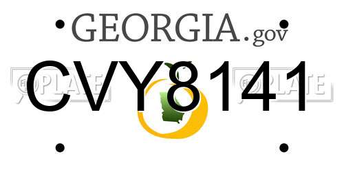 CVY8141 Georgia License Plate
