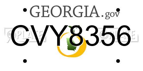CVY8356 Georgia License Plate