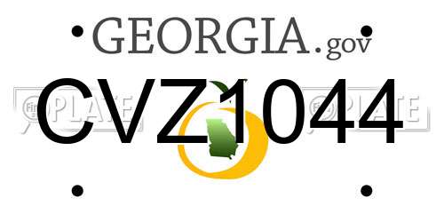 CVZ1044 Georgia License Plate