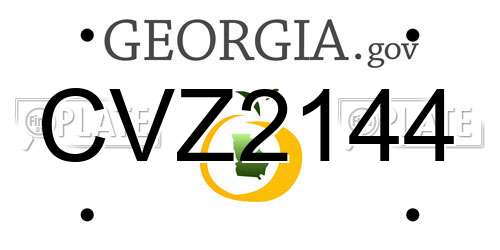 CVZ2144 Georgia License Plate