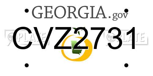 CVZ2731 Georgia License Plate