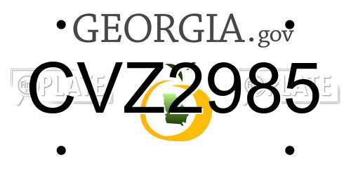 CVZ2985 Georgia License Plate