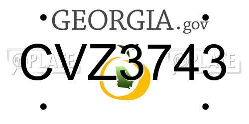 CVZ3743 Georgia License Plate
