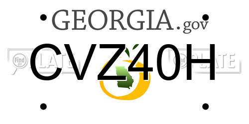 CVZ40H Georgia License Plate