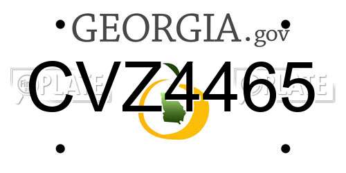 CVZ4465 Georgia License Plate